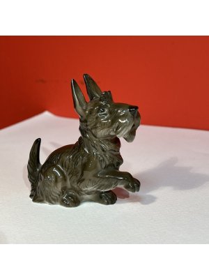 Rosenthal, skotský teriér