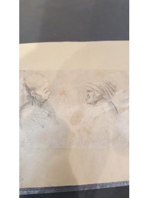 Václav Hollar,Karikatura hlav dle Leonarda