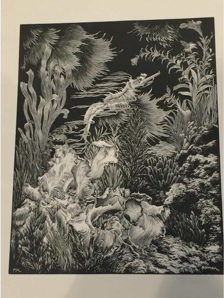 František Kobliha,Mořský koník