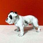 Rosenthal, Anglický buldok