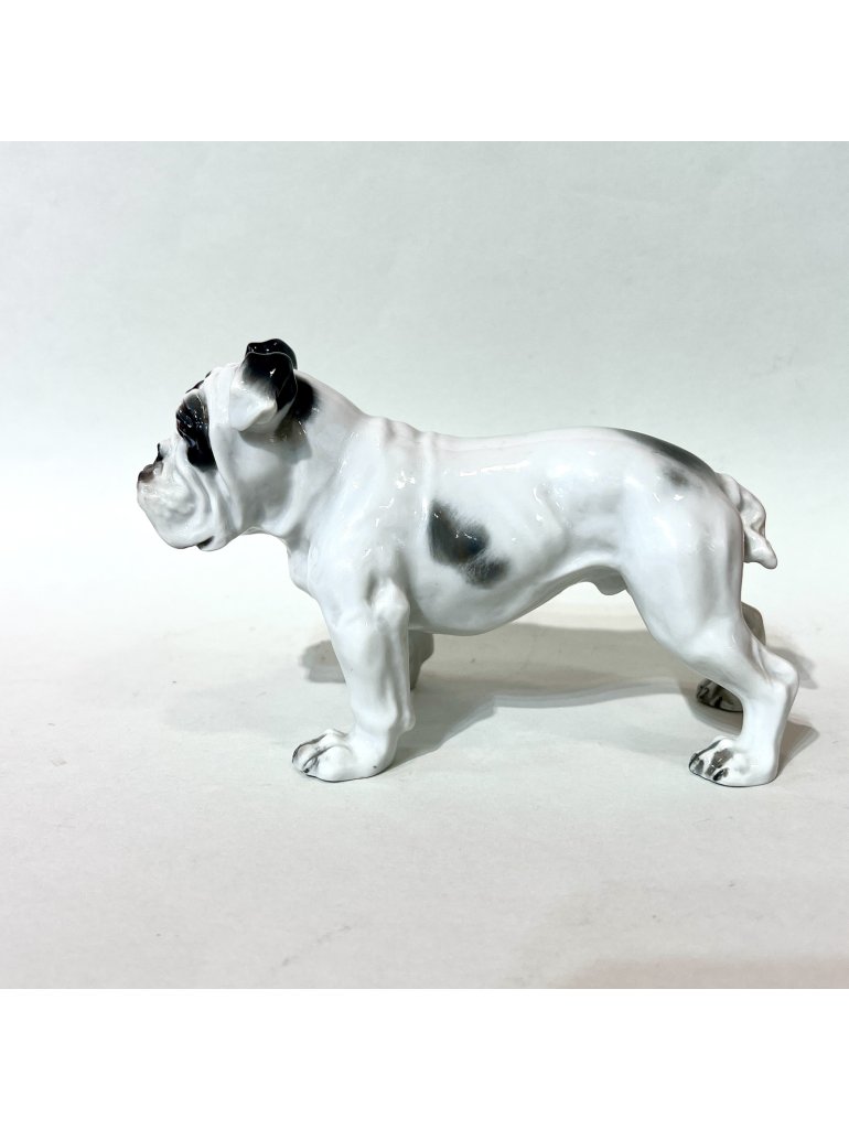 Rosenthal, Anglický buldok